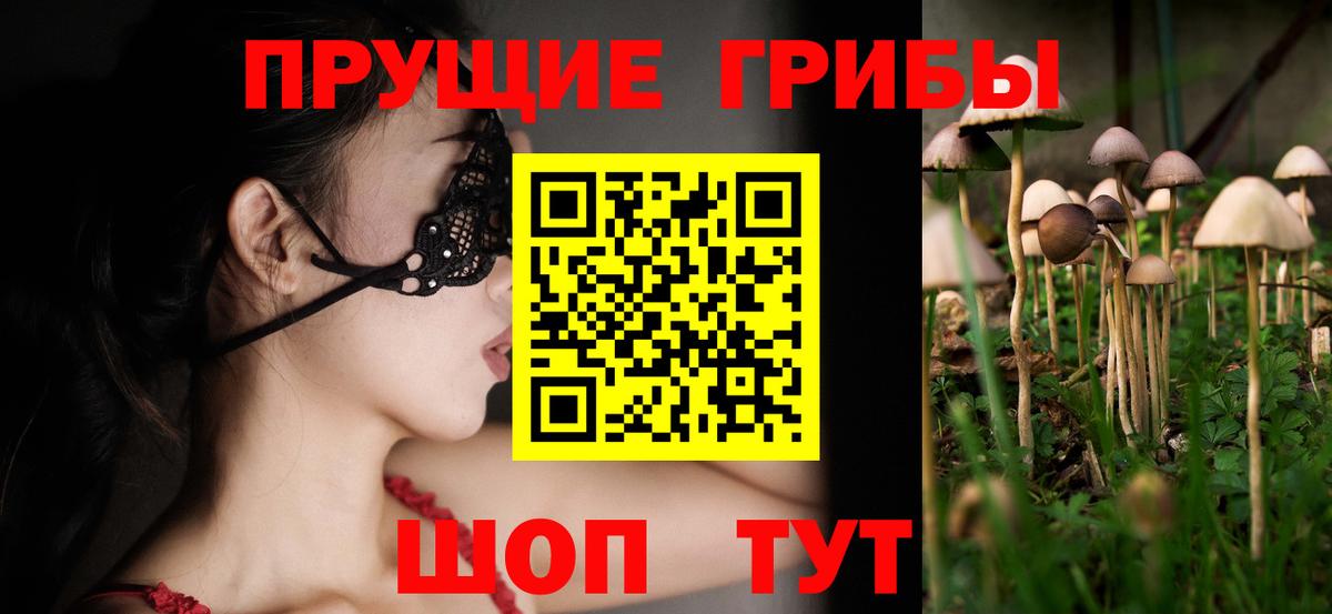 Галлюциногенные грибы прущие грибы Ейск